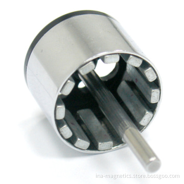 Special Sintered NdFeB Magnet Motor